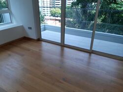 The Peak @ Cairnhill II (D9), Apartment #528287531